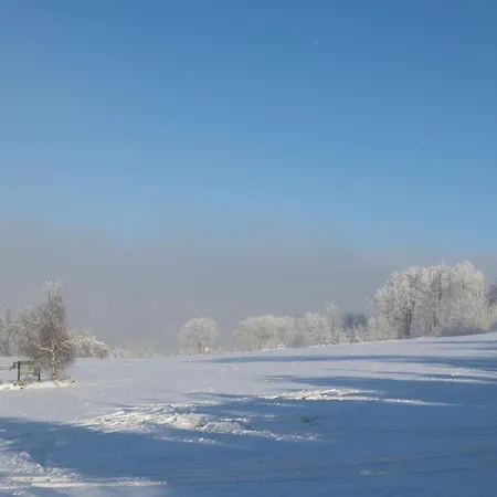 Welcome In - 4-17 Mit Balkon, Abstellraum Und Holzofen * وينتربرغ