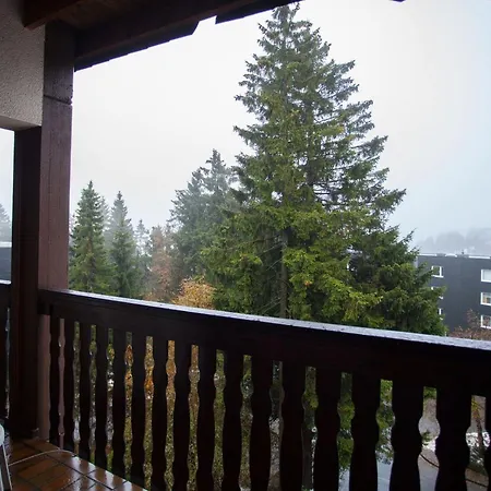 Welcome In - 4-17 Mit Balkon, Abstellraum Und Holzofen شقة وينتربرغ